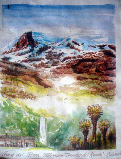 Páramo del nevado del Tolima Others Paper Landscaping