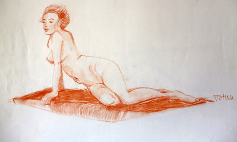 Desnudos