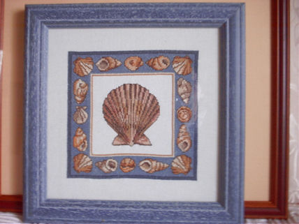 Concha de mar