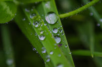 Gotas de agua en la...