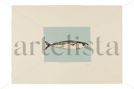 "sardina,serie mar".