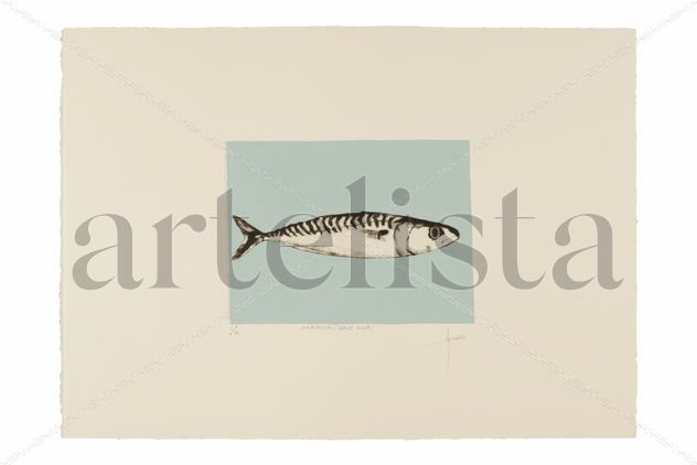 "sardina,serie mar".