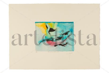 "Ballena,serie mar"