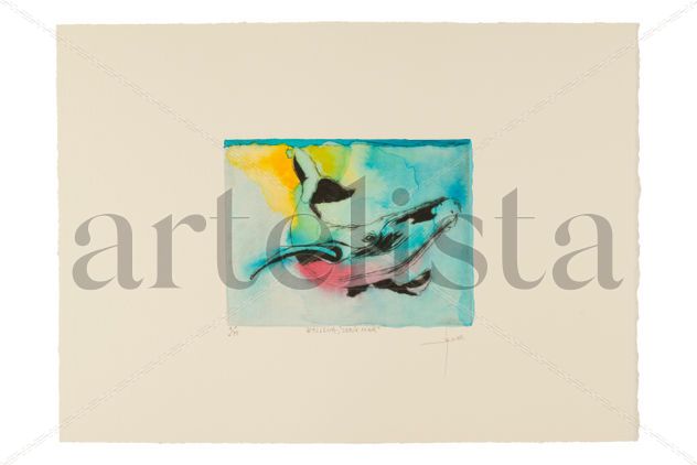 "Ballena,serie mar"