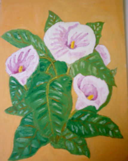 Varias calas