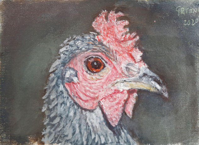 cabeza de gallo Oil Canvas Animals