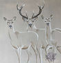 Deers and Doe...