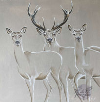 Deers and Doe...