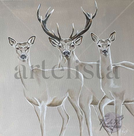 Deers and Doe...