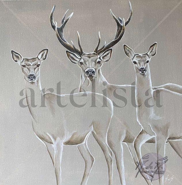 Deers and Doe transparency