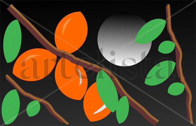 tomates