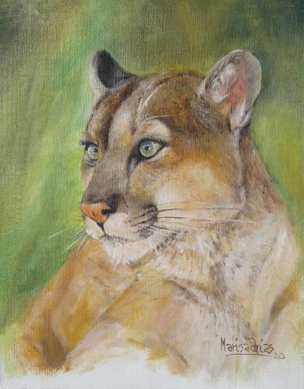 Puma Feb-2020 Oil Canvas Animals