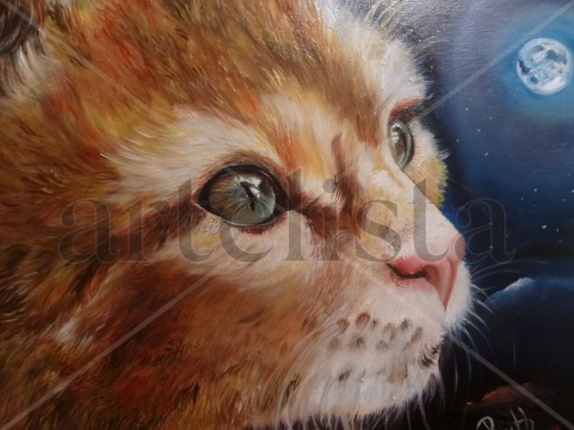 gato