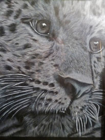 Leopardo