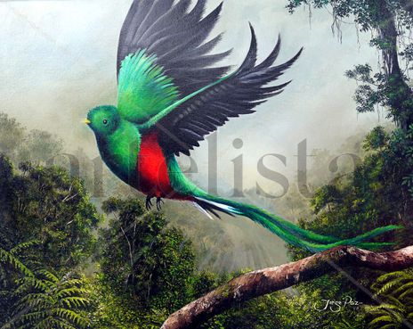Libertad esmeralda