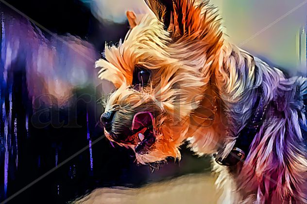 Doggy Joy
