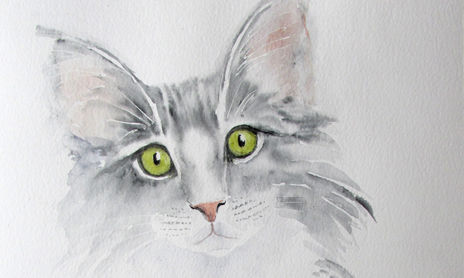 felinos