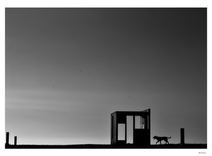 Pequeñas historias 21