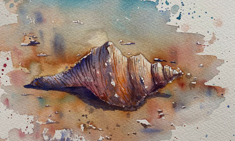 Caracolas