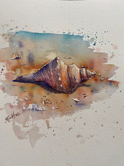 Caracola I Watercolour Paper Marine Painting