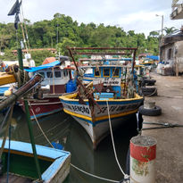 Barcos pesqueiros