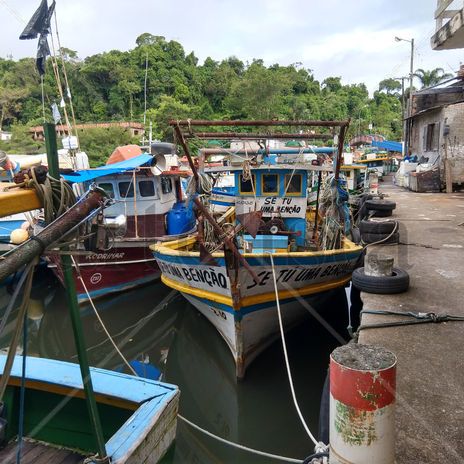 Barcos pesqueiros
