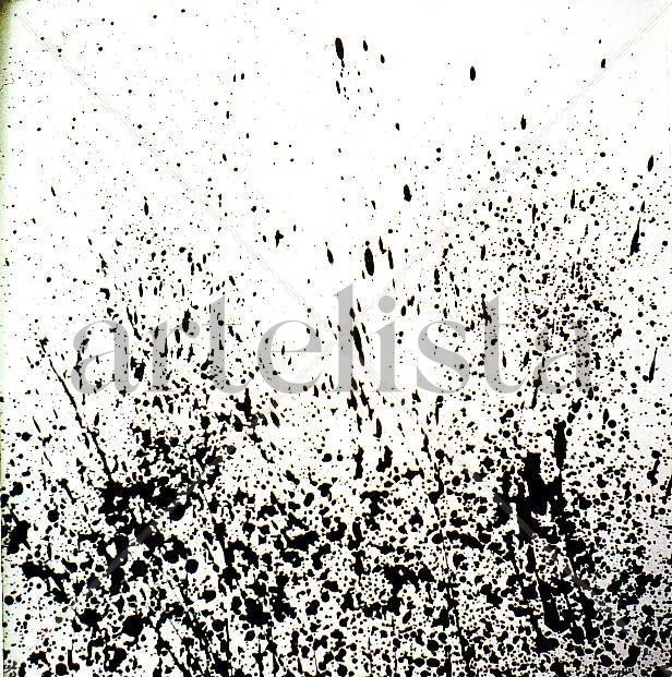 R067.MARAÑA,1982