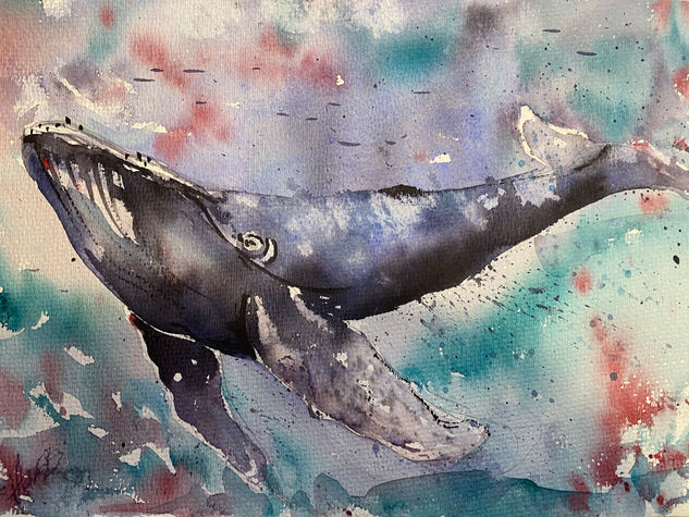 Ballena azul Acuarela Papel Animales