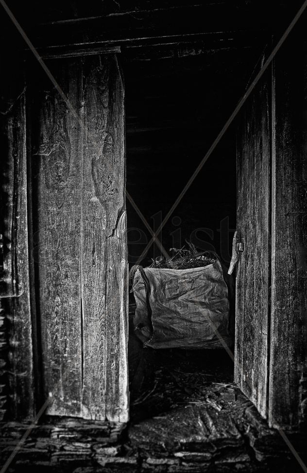 Deconstrucción del olvido 4