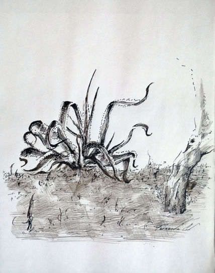 Paisaje