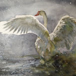 Plumas thumbnail 1
