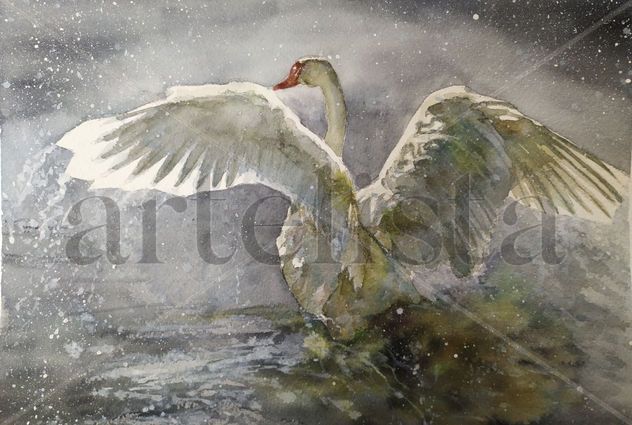 Cisne