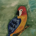 COLECCION DE AVES thumbnail 1