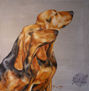 Peinture À L’huile 50X50 Bruno du Jura by MdeM, Artiste Peintre Animalier