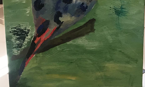 COLECCION DE AVES