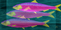 Sardinas