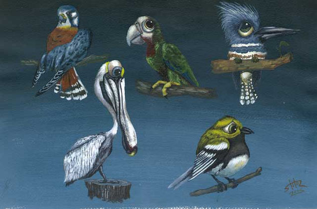 Aves de Bahamas Gouache Cartulina Animales