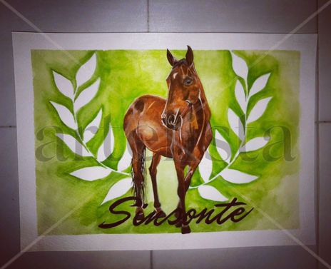 Sinsonte