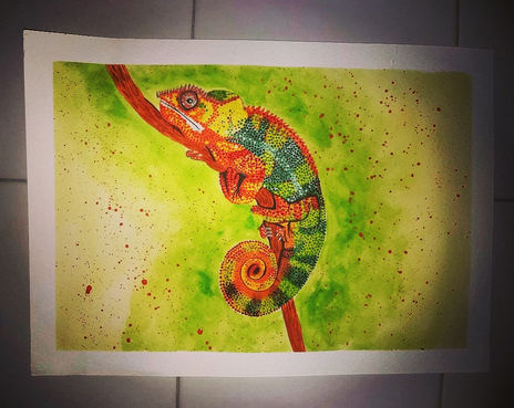 Camaleon Watercolor