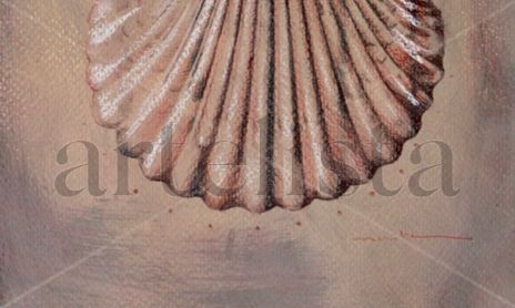 Conchas Marinas