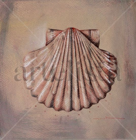 Conchas del confinamiento Mixed Media