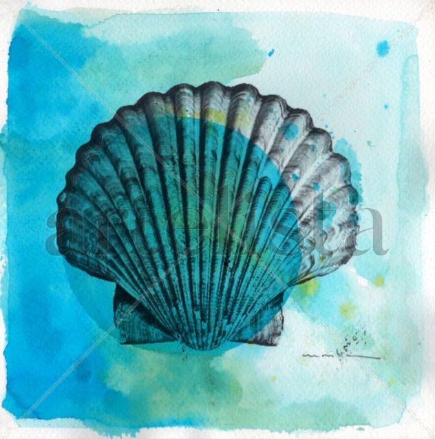 Conchas del Confinamiento