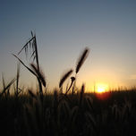 Paisaje thumbnail 2