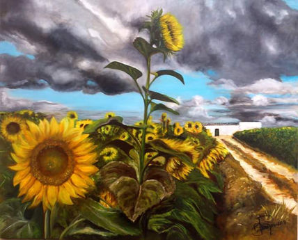 Mis girasoles