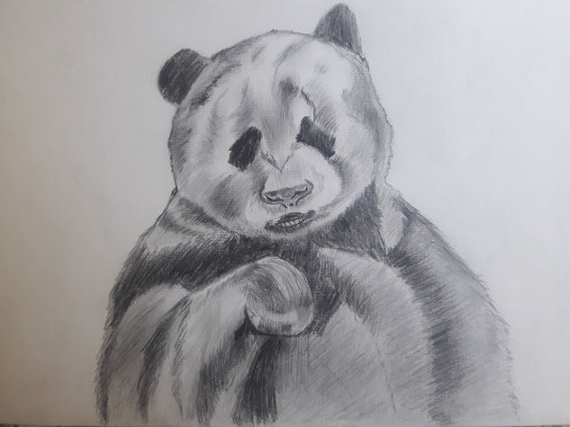 oso Pencil