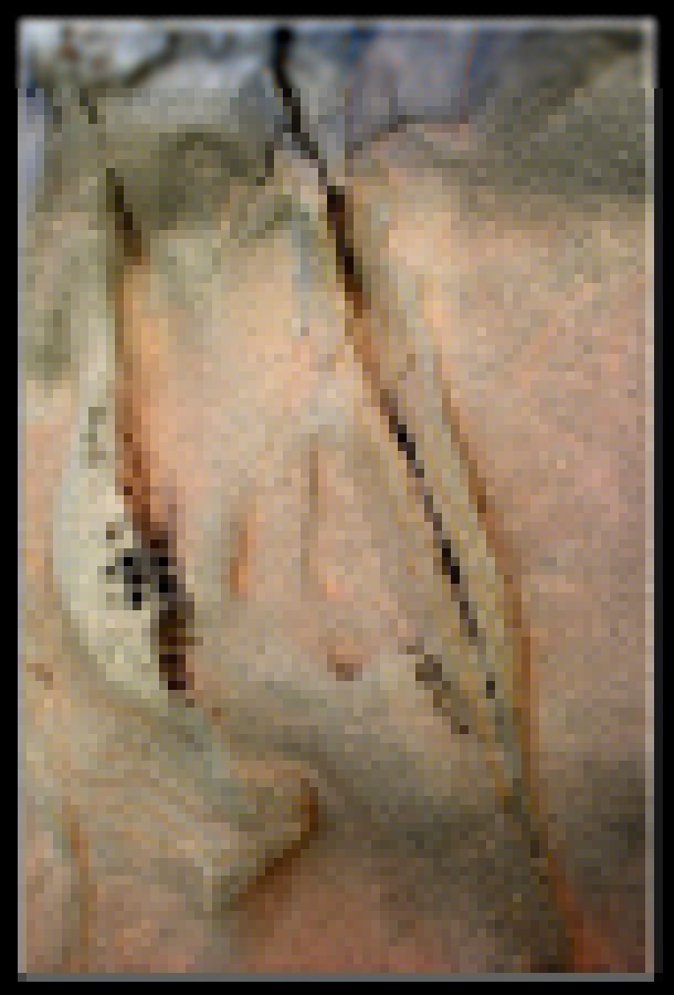 sin titulo