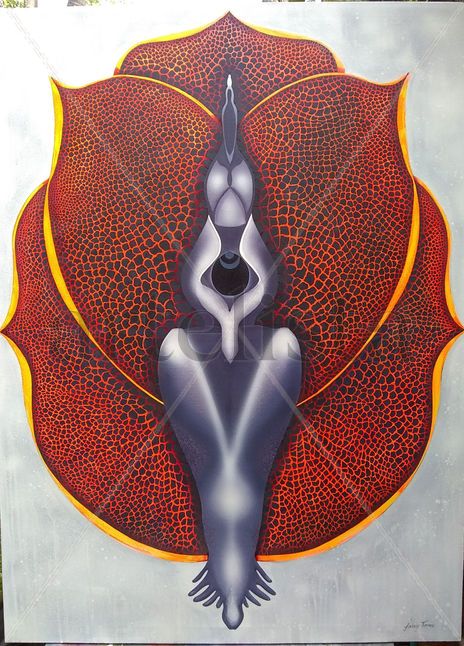 Orquídeas