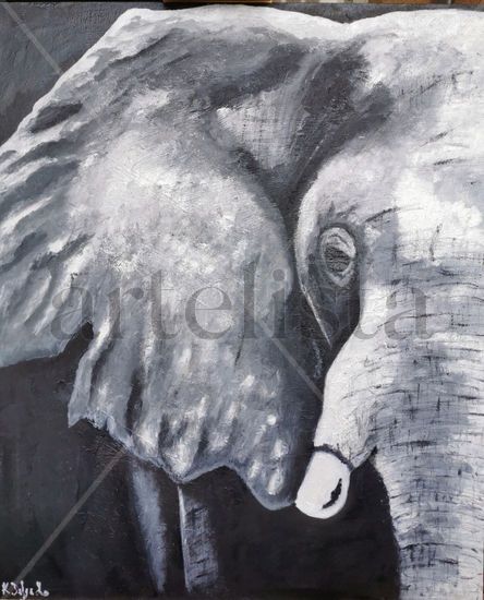 Elephant Óleo Tabla Animales