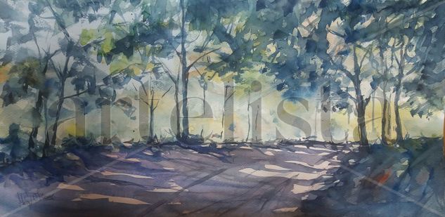 camino 1 Watercolour Paper Landscaping