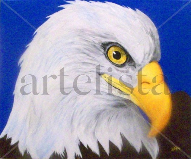 Aguila Oil Canvas Landscaping